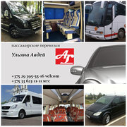 аренда VIP микроавтобусов 5-21 место,  пассажирские перевозки,  трансфер